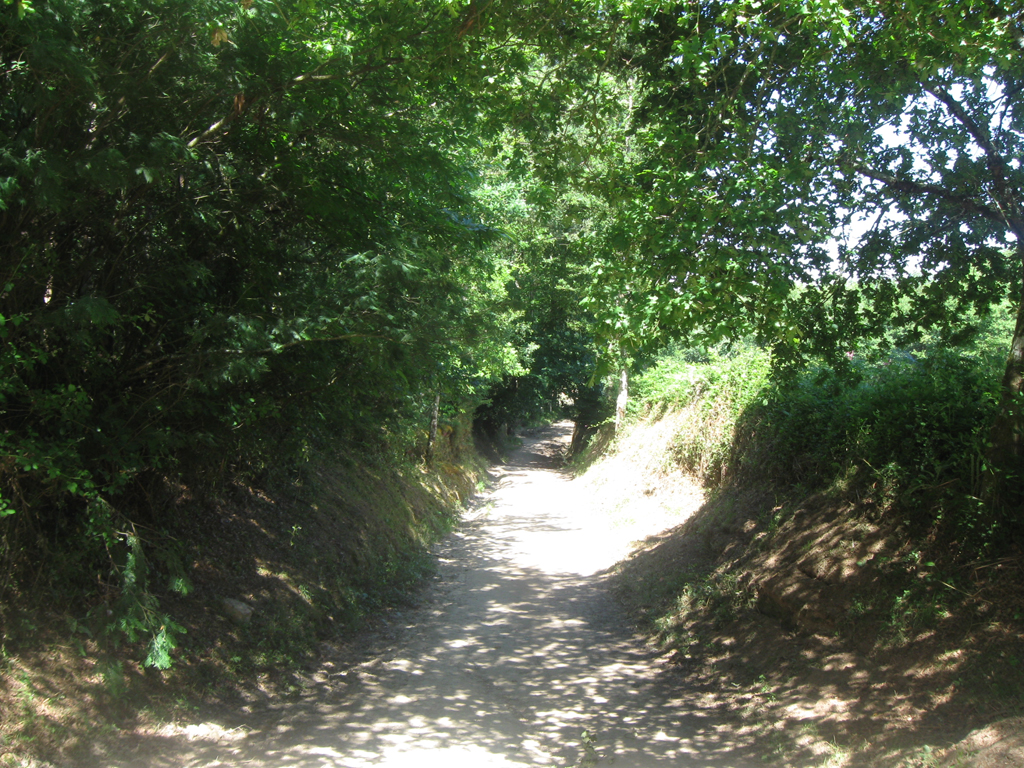 Weg